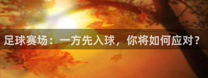  vsport体育平台app：足球赛场：一方先入球，你将如何应