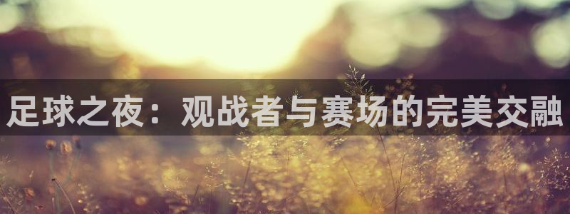 Vsport体育官网：足球之夜：观战者与赛场的完美交融