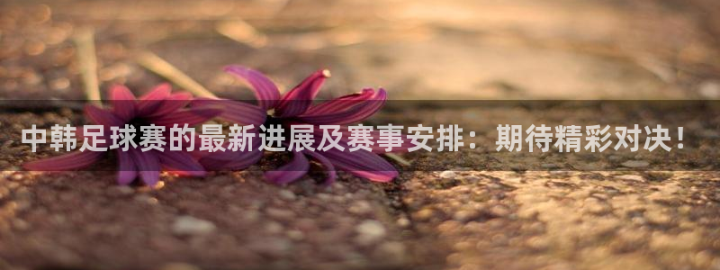  vsport体育在线官网阿根廷：中韩足球赛的最新进展及赛事安