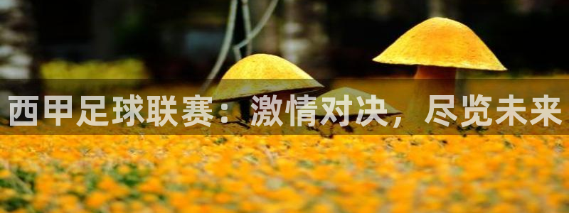  vsport体育：西甲足球联赛：激情对决，尽览未来