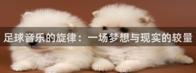 Vsport体育官网：足球音乐的旋律：一场梦想与现实的较量