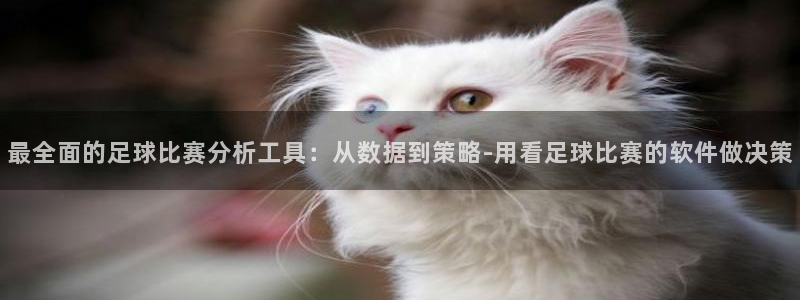  vsport体育在线官网阿根廷：最全面的足球比赛分析工具：从