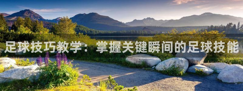  vsport体育官网：足球技巧教学：掌握关键瞬间的足球技能