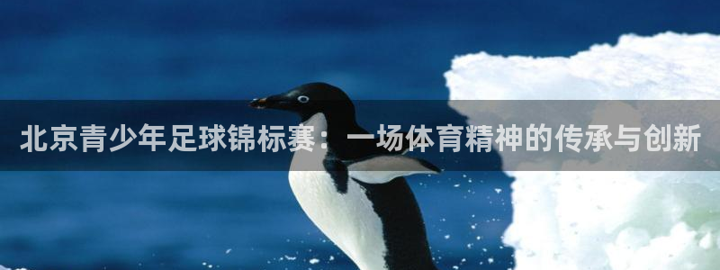  Vsport体育官网：北京青少年足球锦标赛：一场体育精神的传