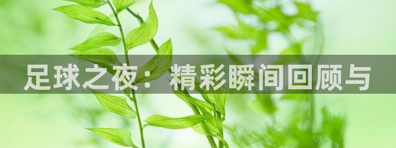 vsport体育平台app下载安装免费：足球之夜：精彩瞬间回