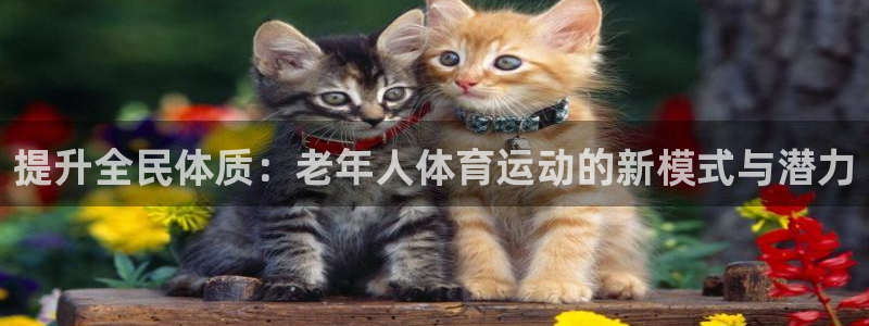 ug环球官网注册