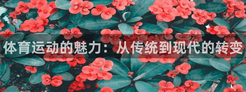 ug环球官网注册