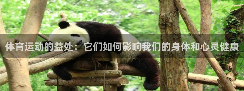 ug环球官网登录入口